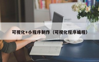 保山可视化+小程序制作（可视化程序编程）